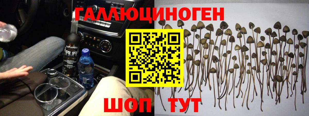 Галлюциногенные грибы ЛСД  Вход с VPN  Новотроицк 